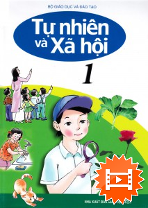 Bài 12 : Vui đón tết